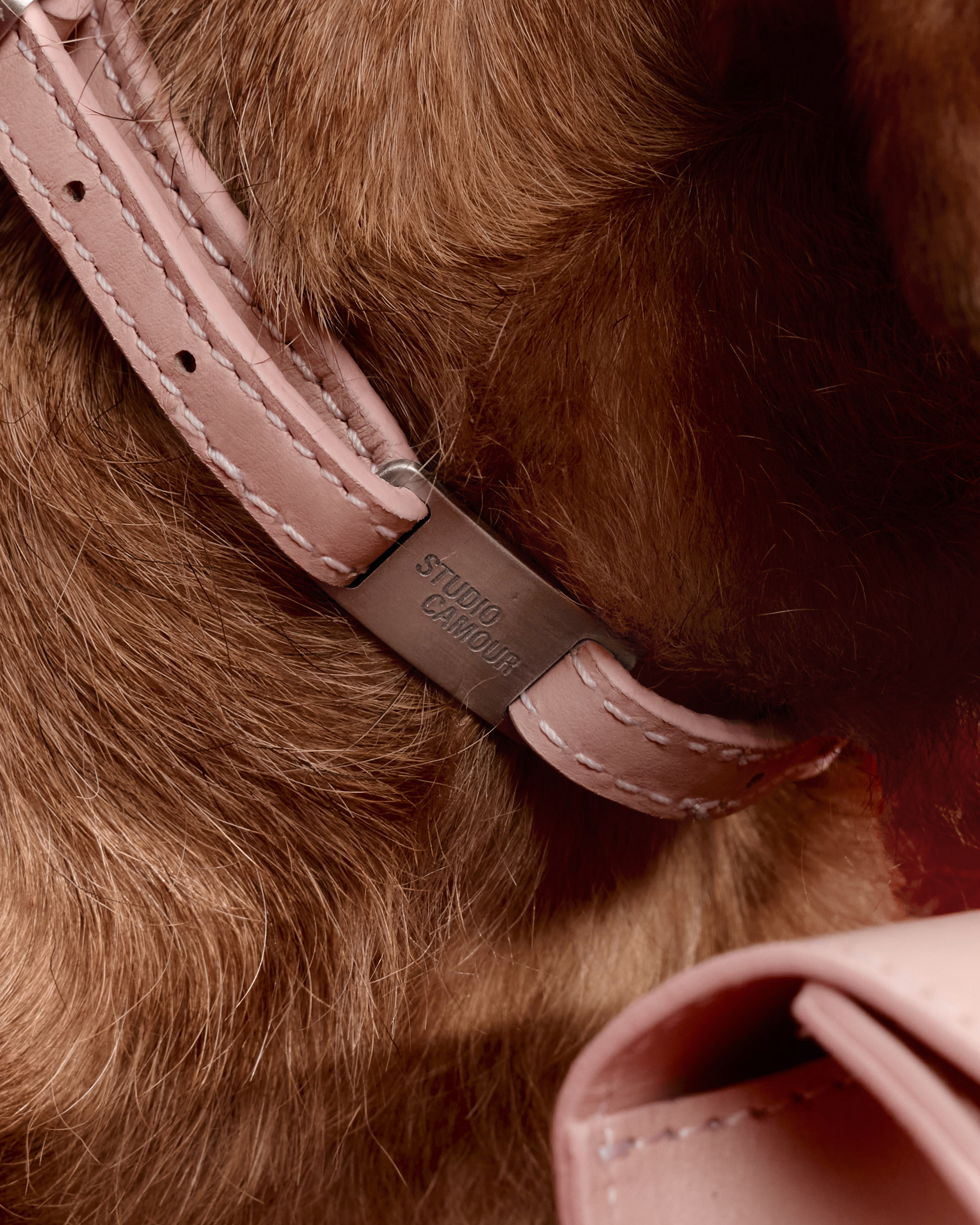 Reeve Collar - Smaller Breeds