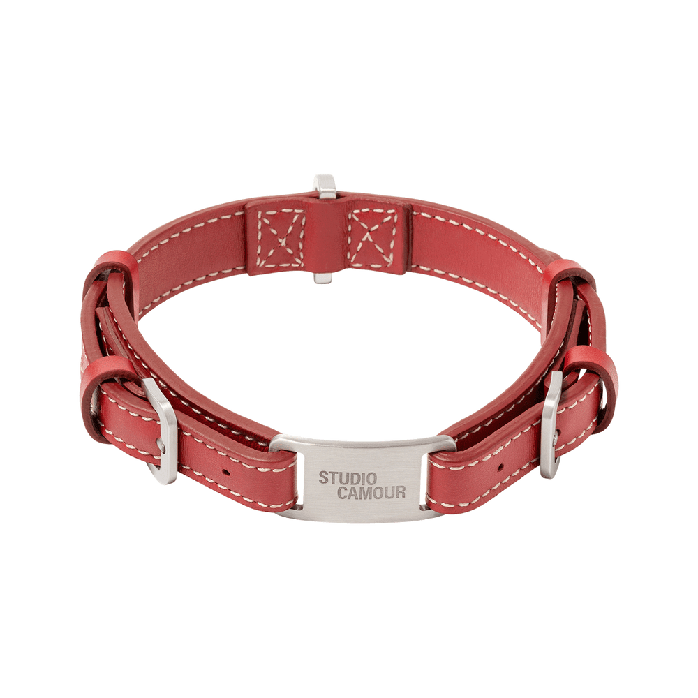 Reeve Collar - Smaller Breeds