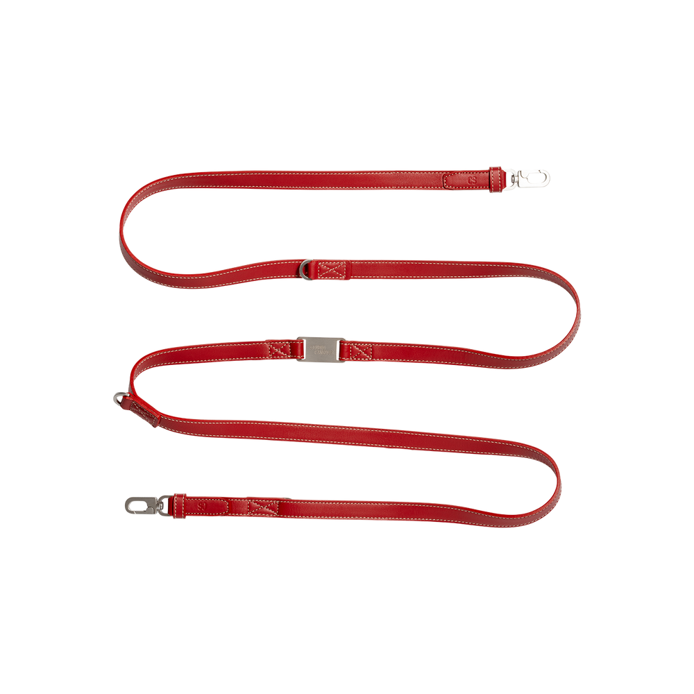 Bond Leash - Smaller Breeds