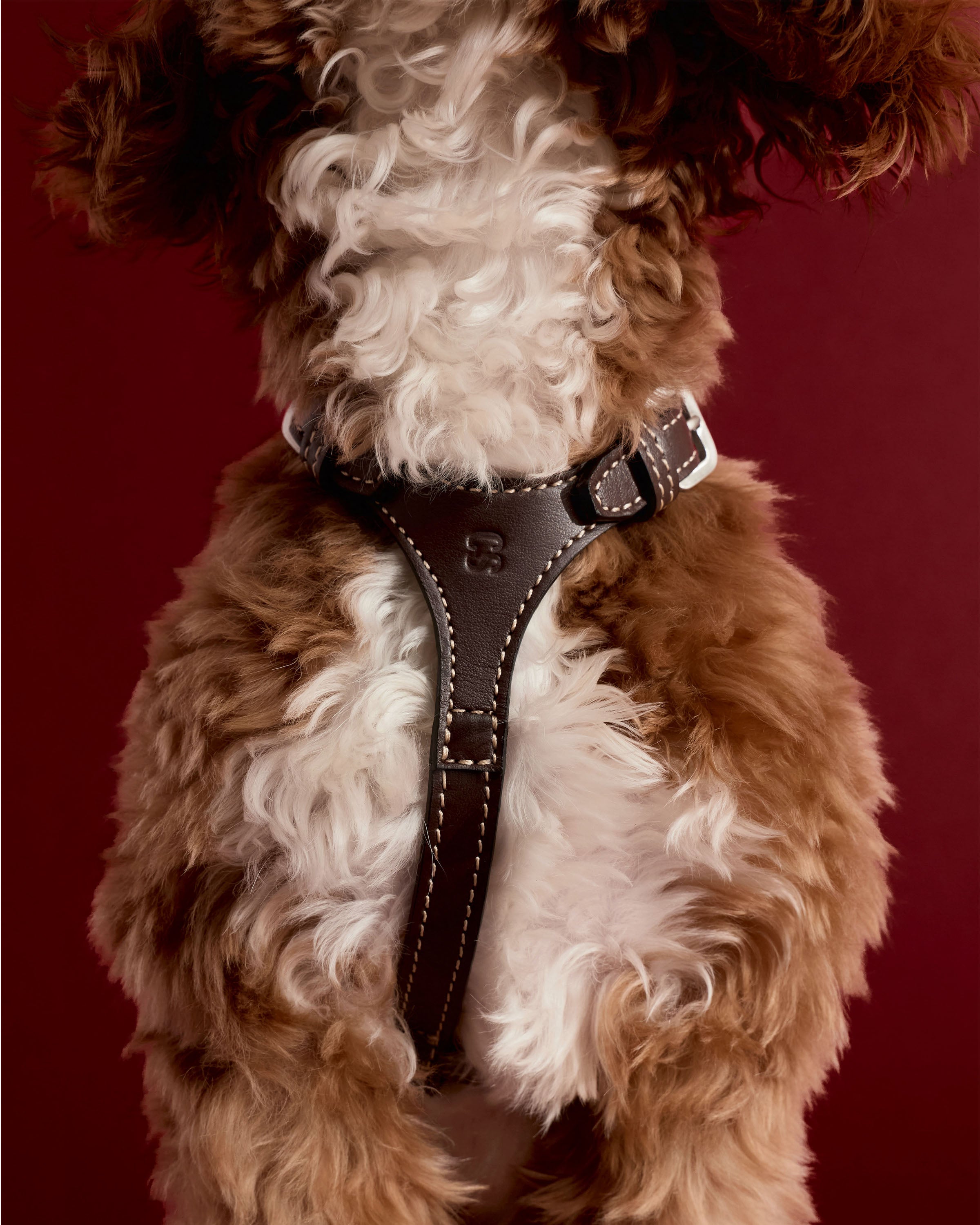 Cove Harness - Smaller Breeds