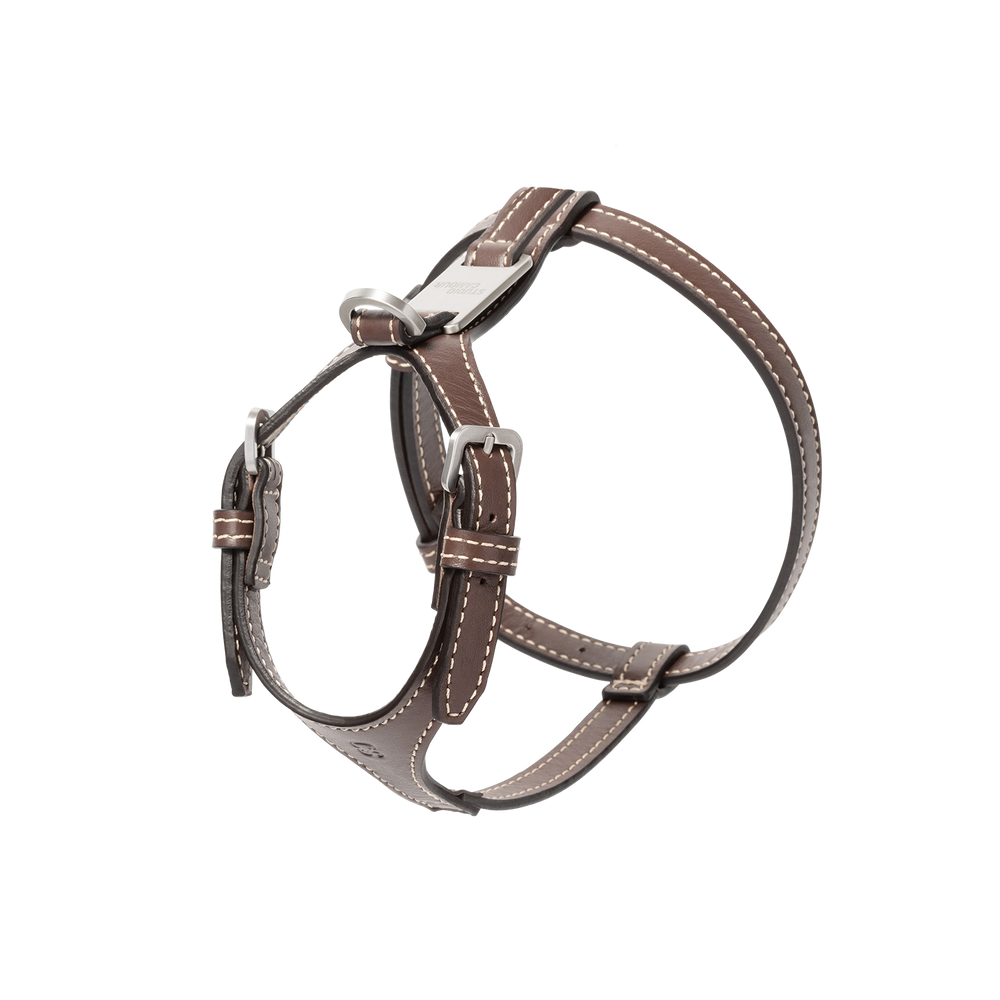 Cove Harness - Smaller Breeds