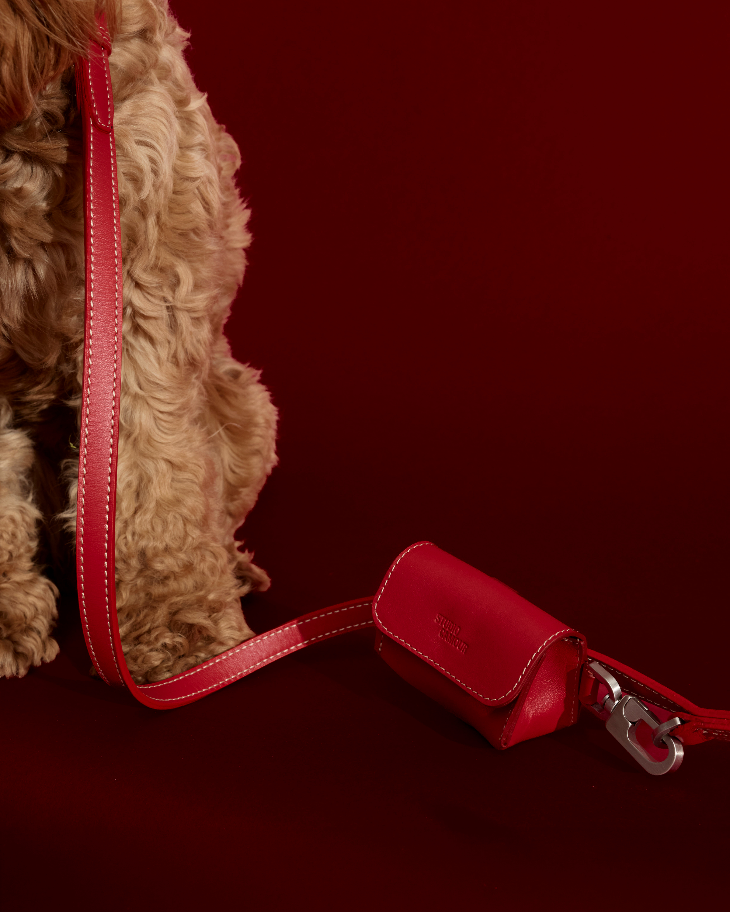 Lune Waste Bag Holder - Smooth Calf Leather